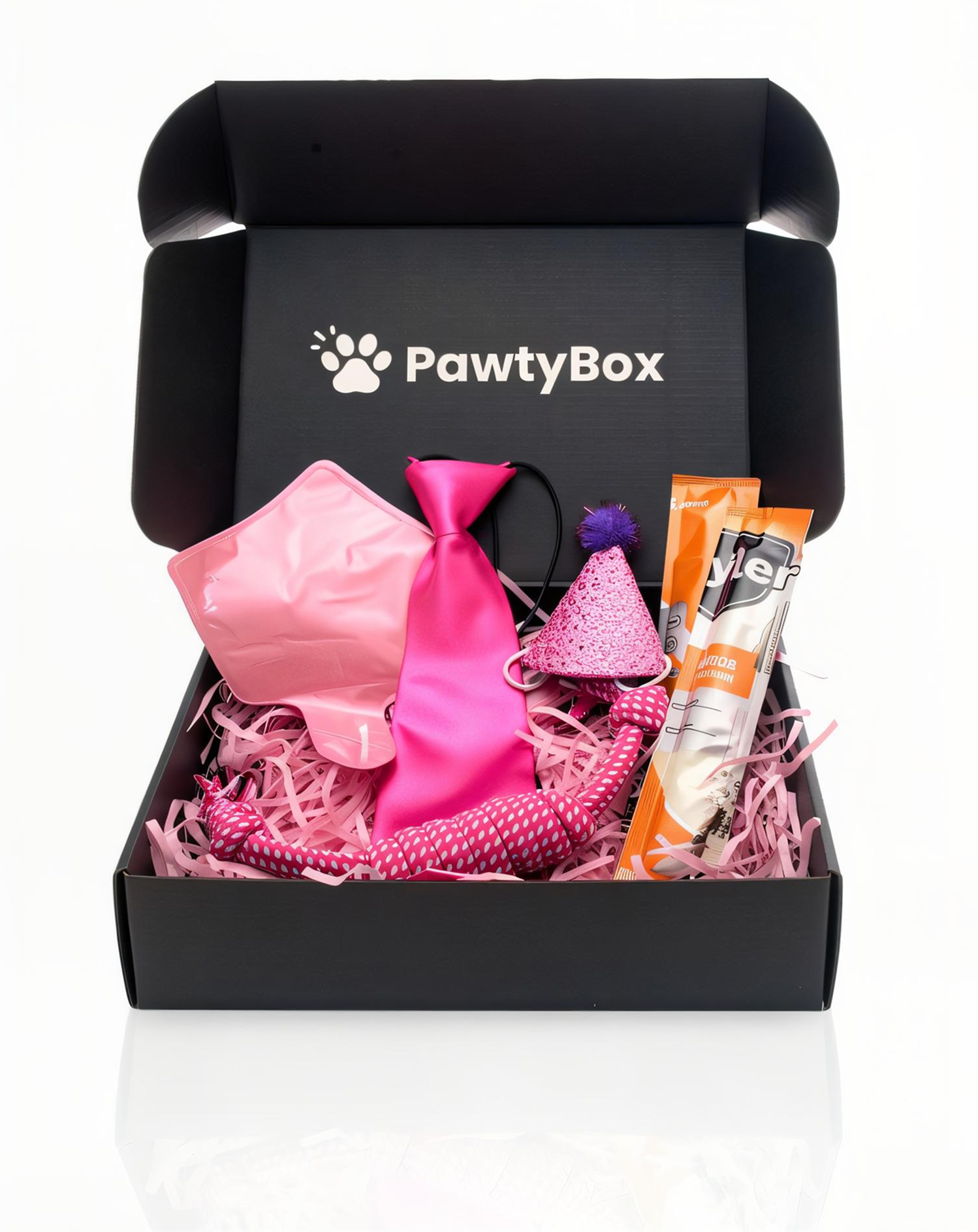 Pawty Box Standard Câini