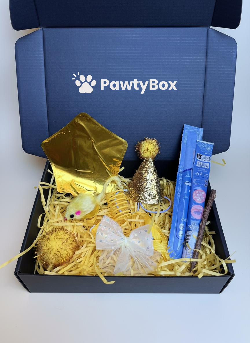 Pawty Box Standard Pisici