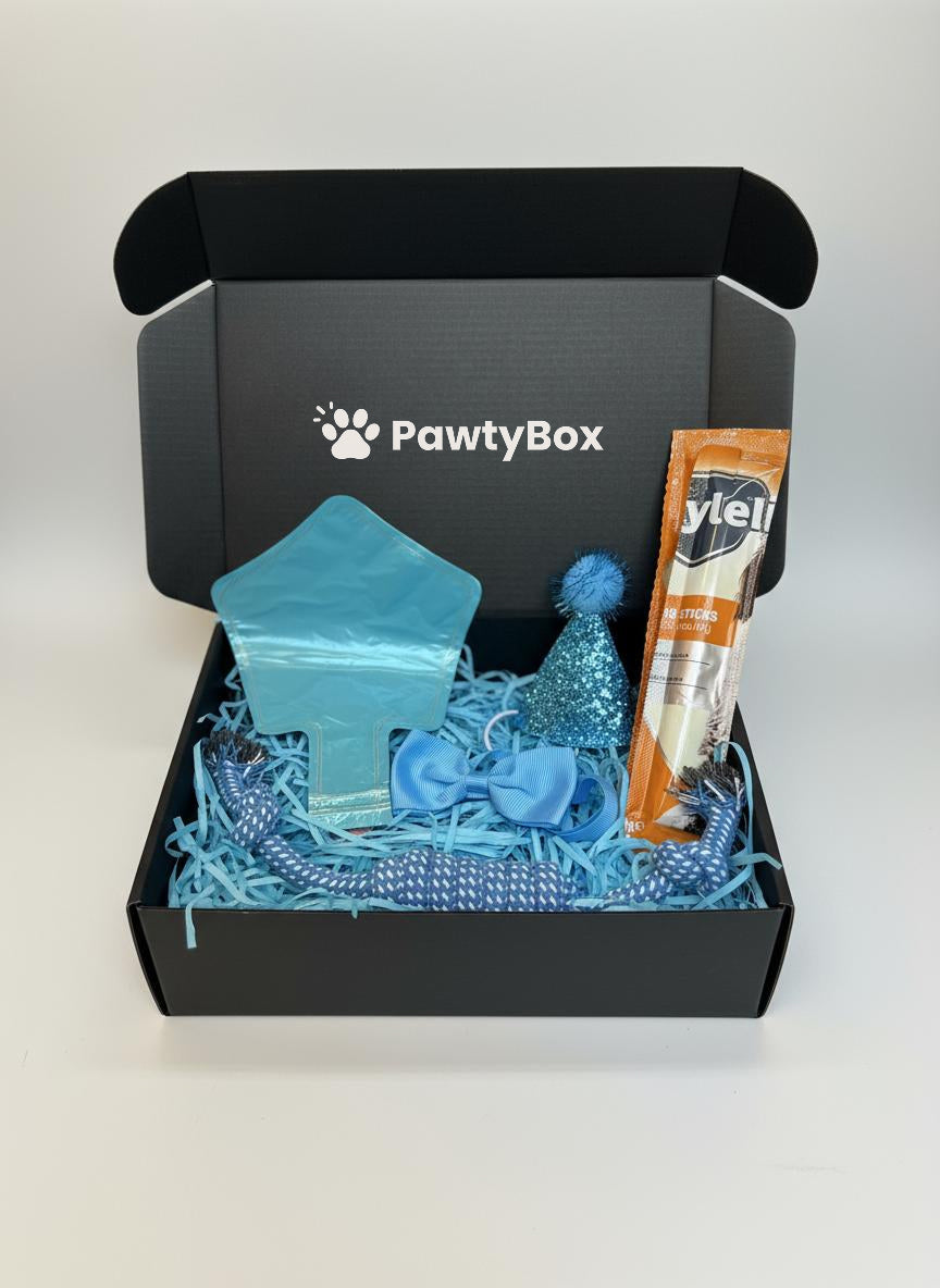 Pawty Box Standard Câini