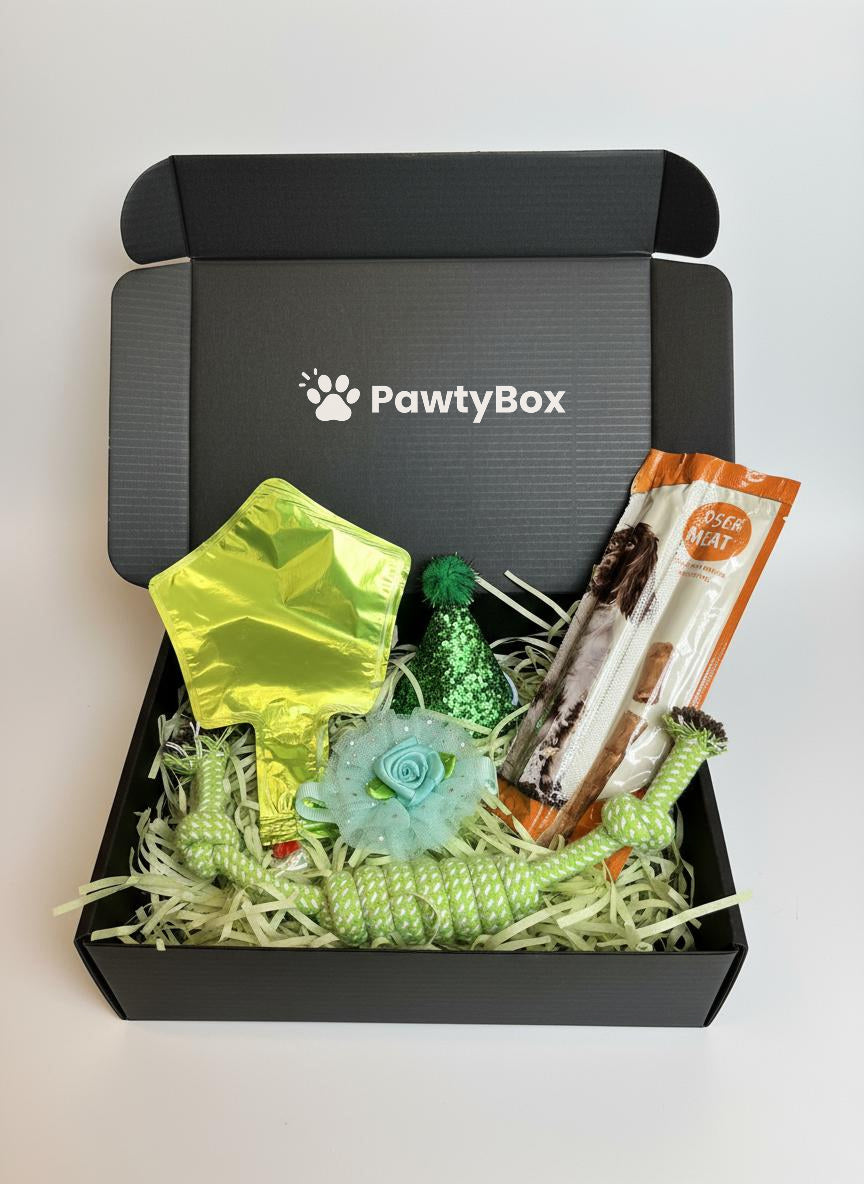 Pawty Box Standard Câini