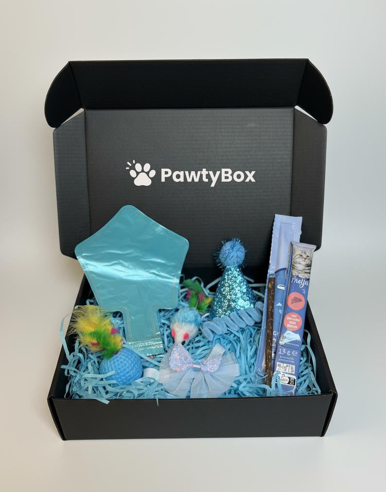 Pawty Box Standard Pisici