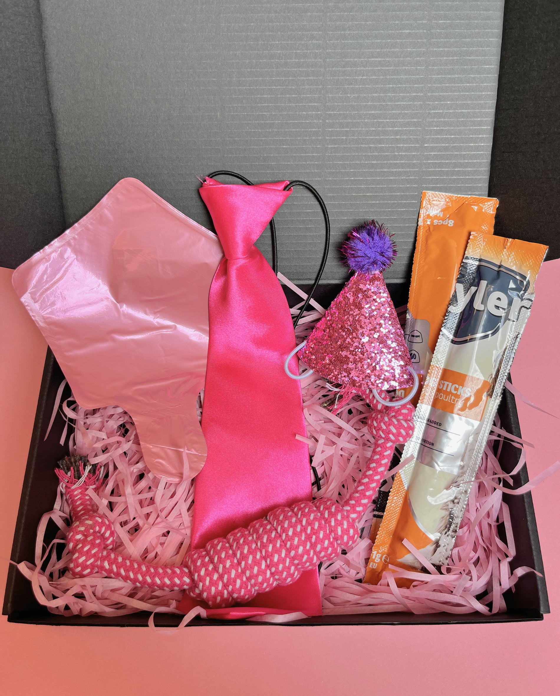 Pawty Box Standard Câini