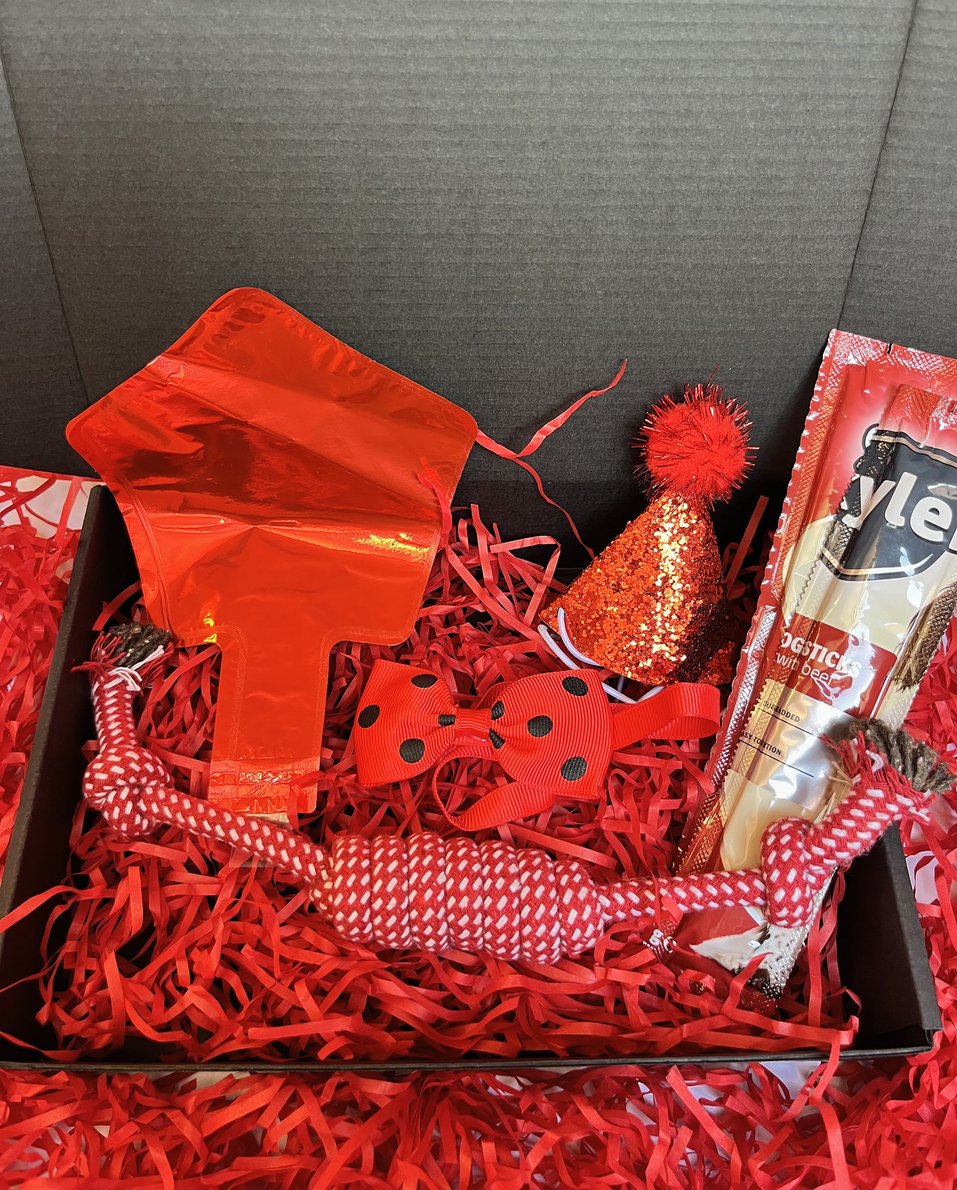 Pawty Box Standard Câini