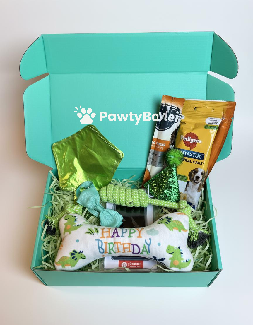 Pawty Box Premium Câini