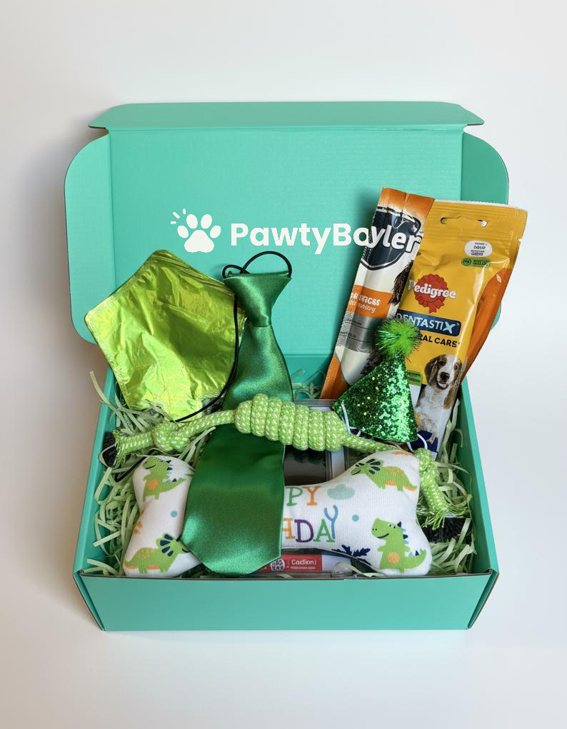 Pawty Box Premium Câini