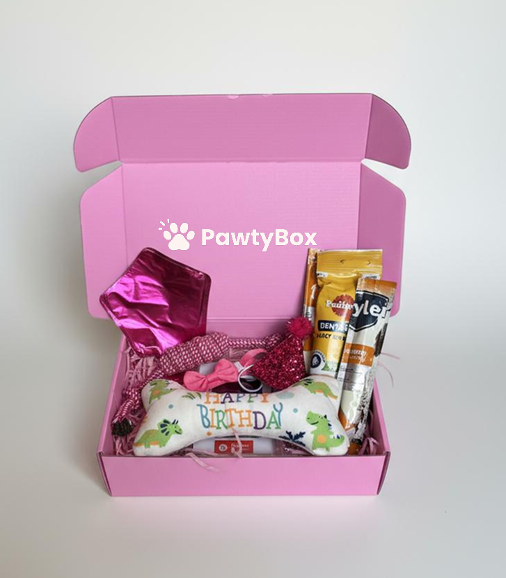 Pawty Box Premium Câini